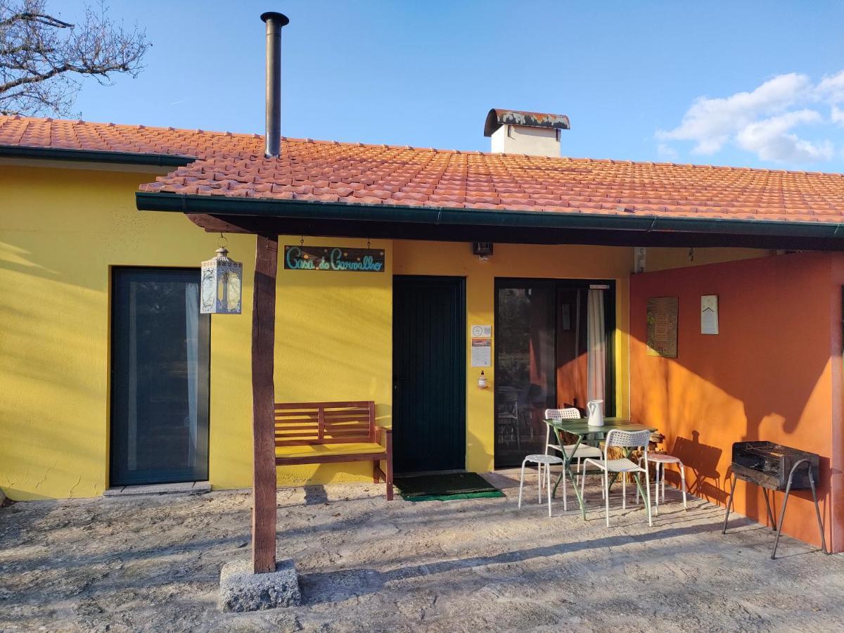 Casa Das Palmeiras-Pedagogic Farm Mangualde Δωμάτιο φωτογραφία